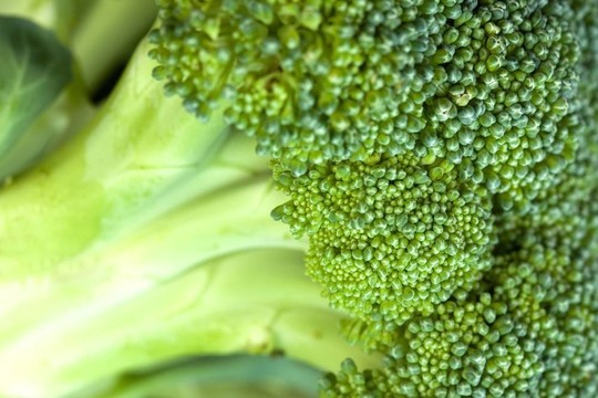 西蘭花