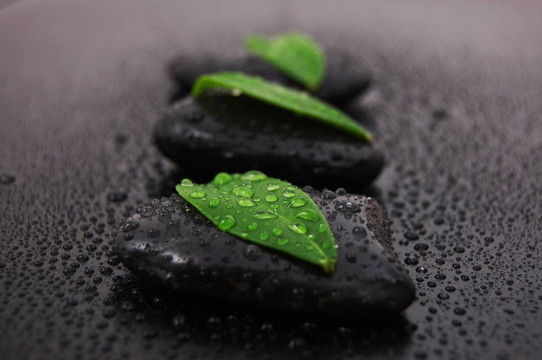 禪石養(yǎng)生觀