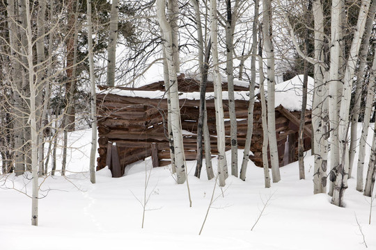 雪中的幽靈小屋