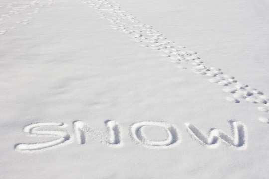 雪寫在雪地邊的腳印