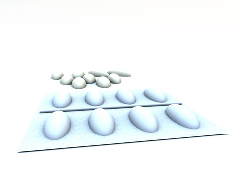 丸