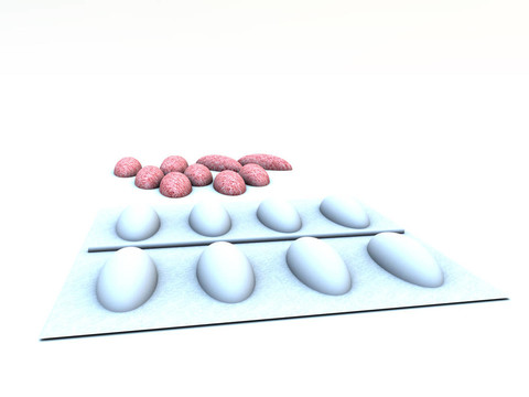 丸