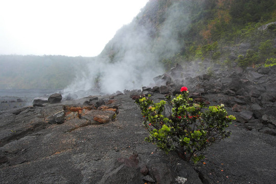 火山口的底部