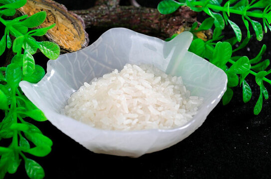 愛(ài)上生態(tài)米