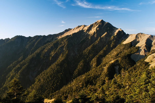 日出金色高山綠色森林。