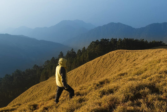 一個(gè)男人帶著金色的草地注視著山。
