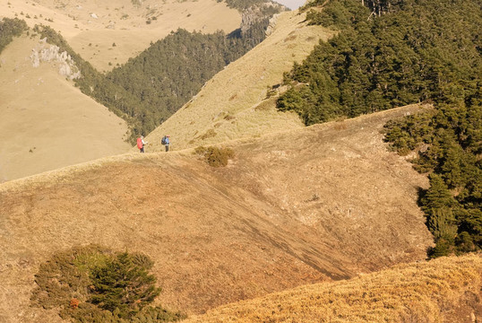 金色的草原和高山峽谷的危險。