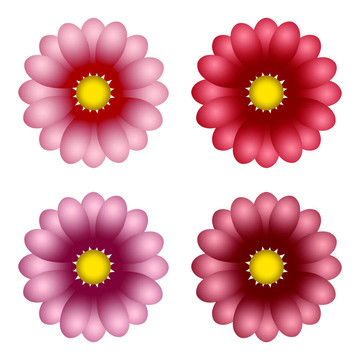 五顏六色的花朵
