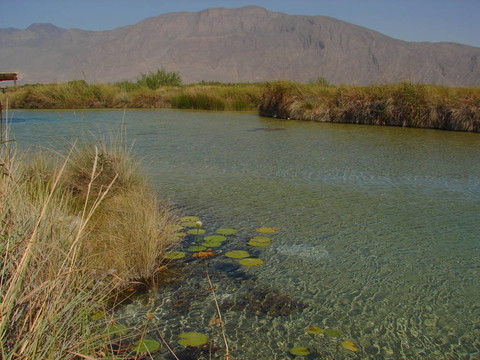 四cienegas9