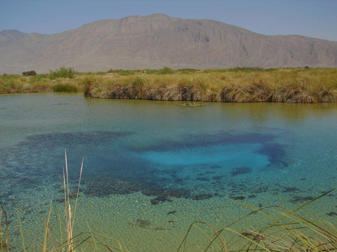 四cienegas6