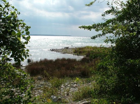 湖