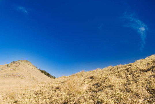 金草原山地景觀