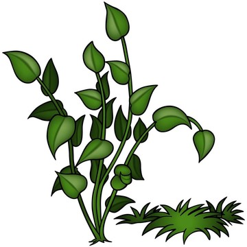 芳草集