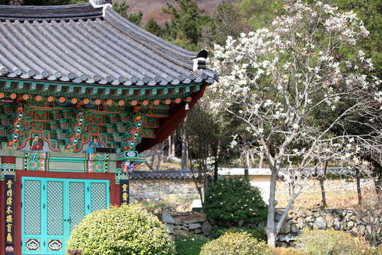 寺廟