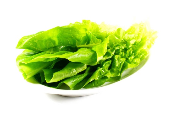 生菜