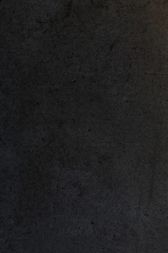 瀝青質(zhì)