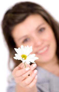 女孩提供一朵白色的花