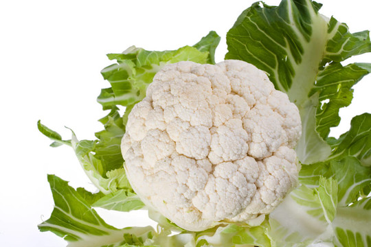 菜花