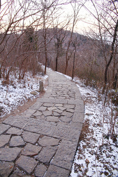山路 小路 路邊殘雪