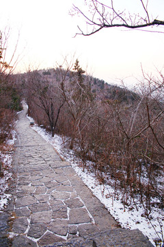 山林小路
