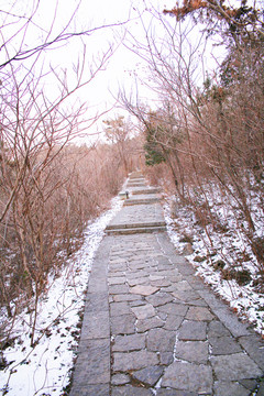 林間山路 路邊積雪