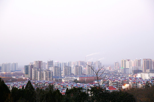 遠(yuǎn)眺城市樓群