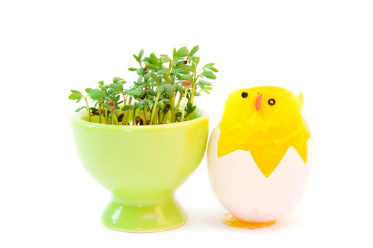 復(fù)活節(jié)