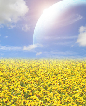 遙遠(yuǎn)星球的領(lǐng)域