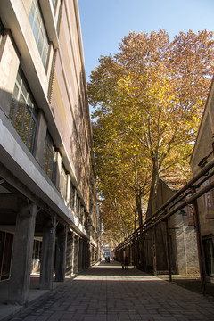文化商業(yè)體驗(yàn)地