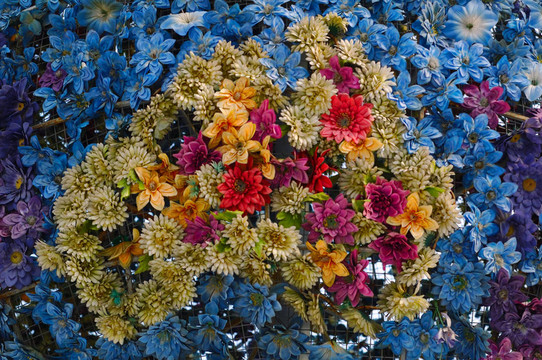 鮮花地毯