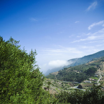 山