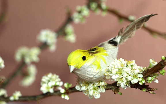 一只盛开的梅花树枝上的麻雀（不是真鸟）