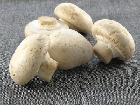 鮮香菇
