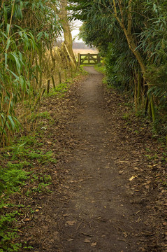 農(nóng)村道路