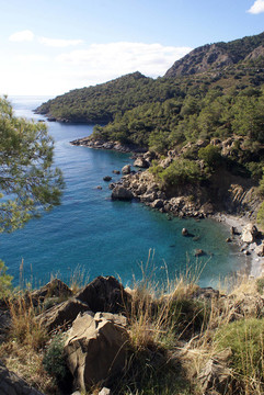 海岸