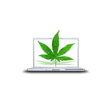 在筆記本電腦大麻葉