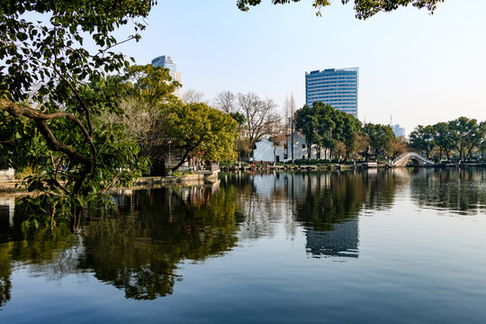 月湖 冬天月湖盛園 寧波公園景