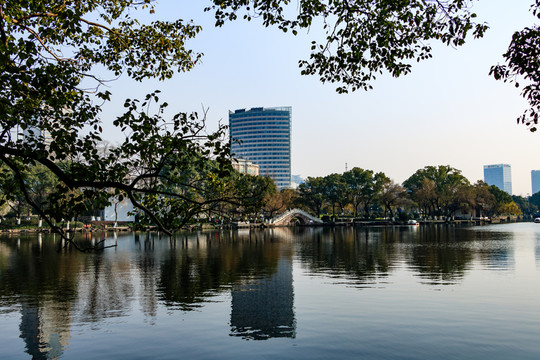 月湖 盛園 寧波公園景觀