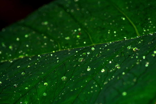 水滴