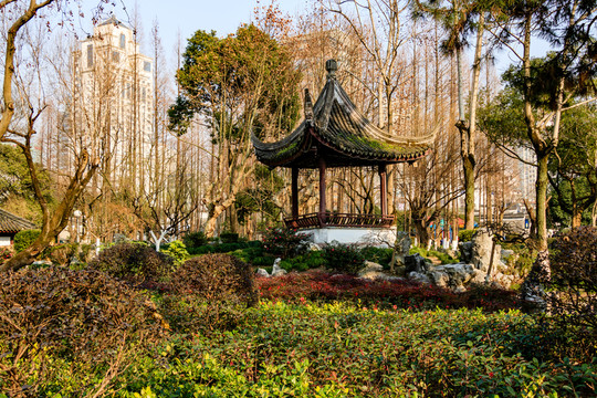 月湖 寧波公園
