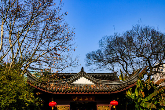 月湖 冬天月湖盛園 寧波公園景