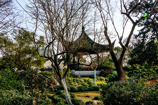 月湖盛園