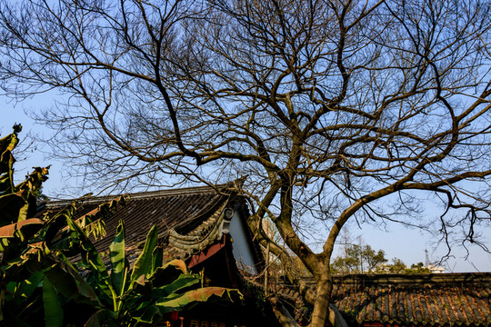 月湖 寧波公園