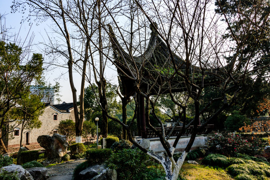 冬天月湖盛園 寧波公園景觀