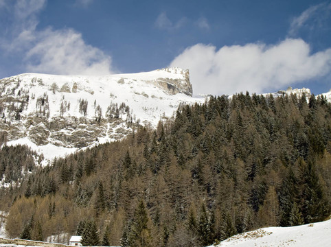 雪山巖的山峰和森林