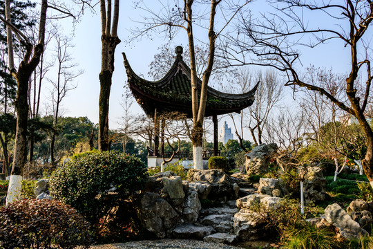 冬天月湖盛園 寧波公園景觀
