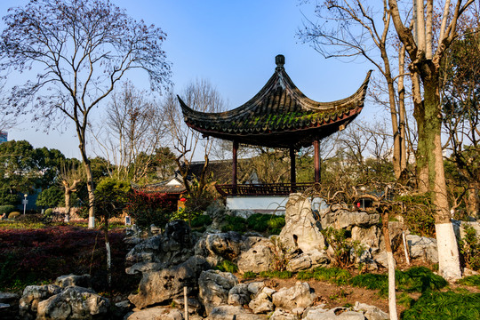 冬天月湖盛園 寧波公園景觀