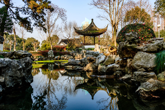 冬天月湖盛園 寧波公園景觀 古