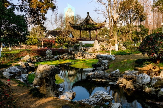 冬天月湖盛園 寧波公園景觀