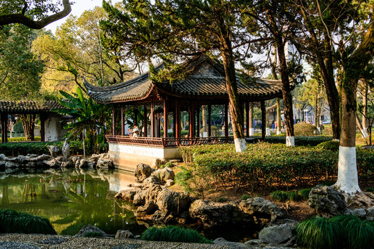 冬天月湖盛園 寧波公園景觀 古